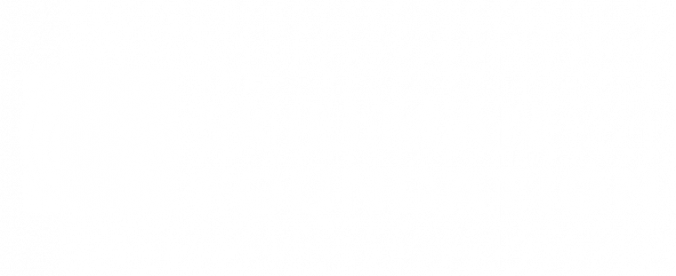Skillman foundation logo